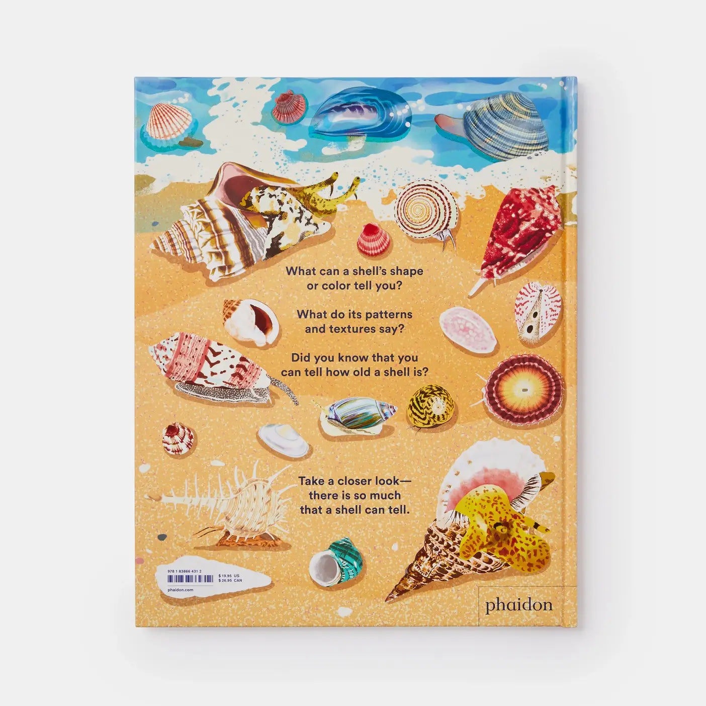 Phaidon - What A Shell Can Tell