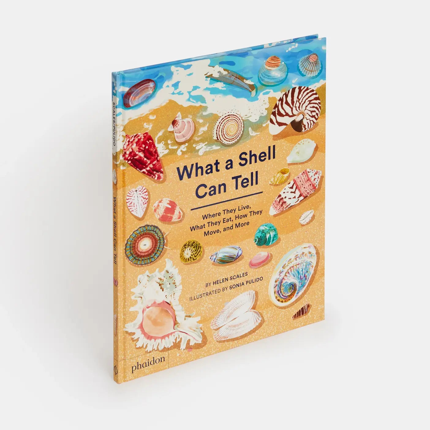 Phaidon - What A Shell Can Tell