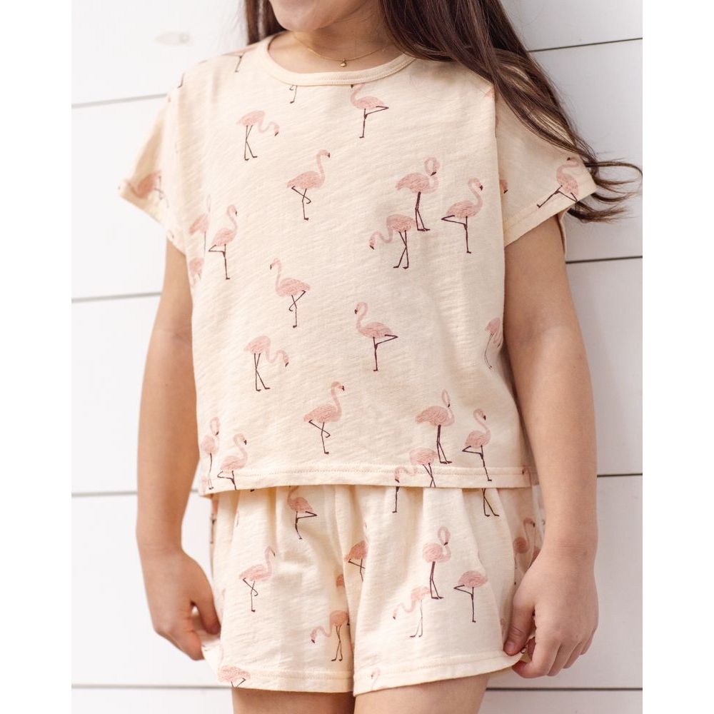 Raegan Set || Flamingo