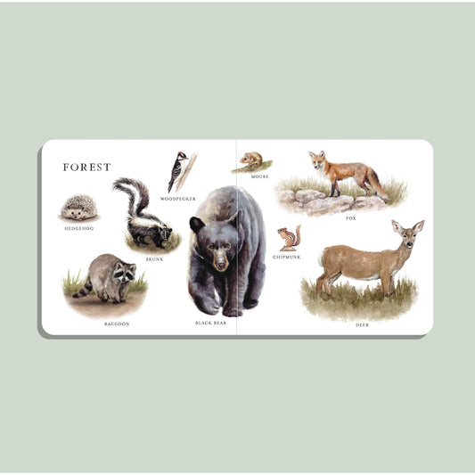 Paige Tate & Co. - Our Big Book of Animals (Baby Board Book)