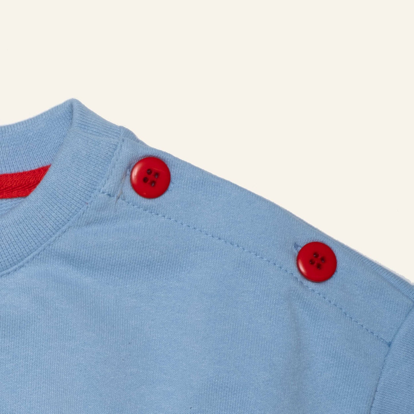 Recycled Cotton Frenchie Kid Sweatshirt: Placid Blue
