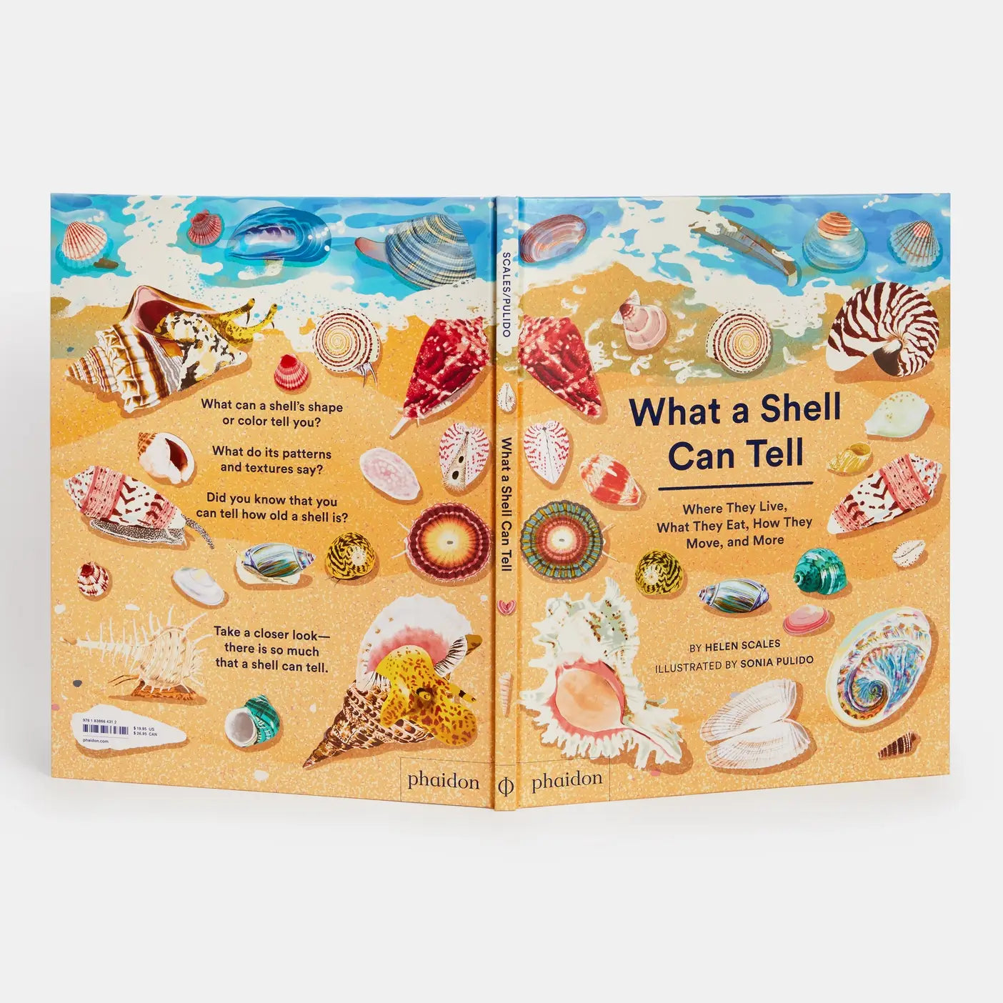 Phaidon - What A Shell Can Tell
