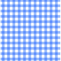 Hooded Terry Bath Towel | Blue Gingham