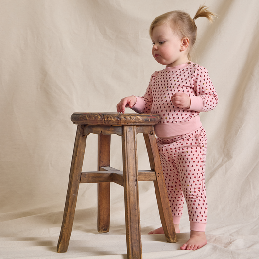 Baby Jax Jogger Set - Mini Ladybugs