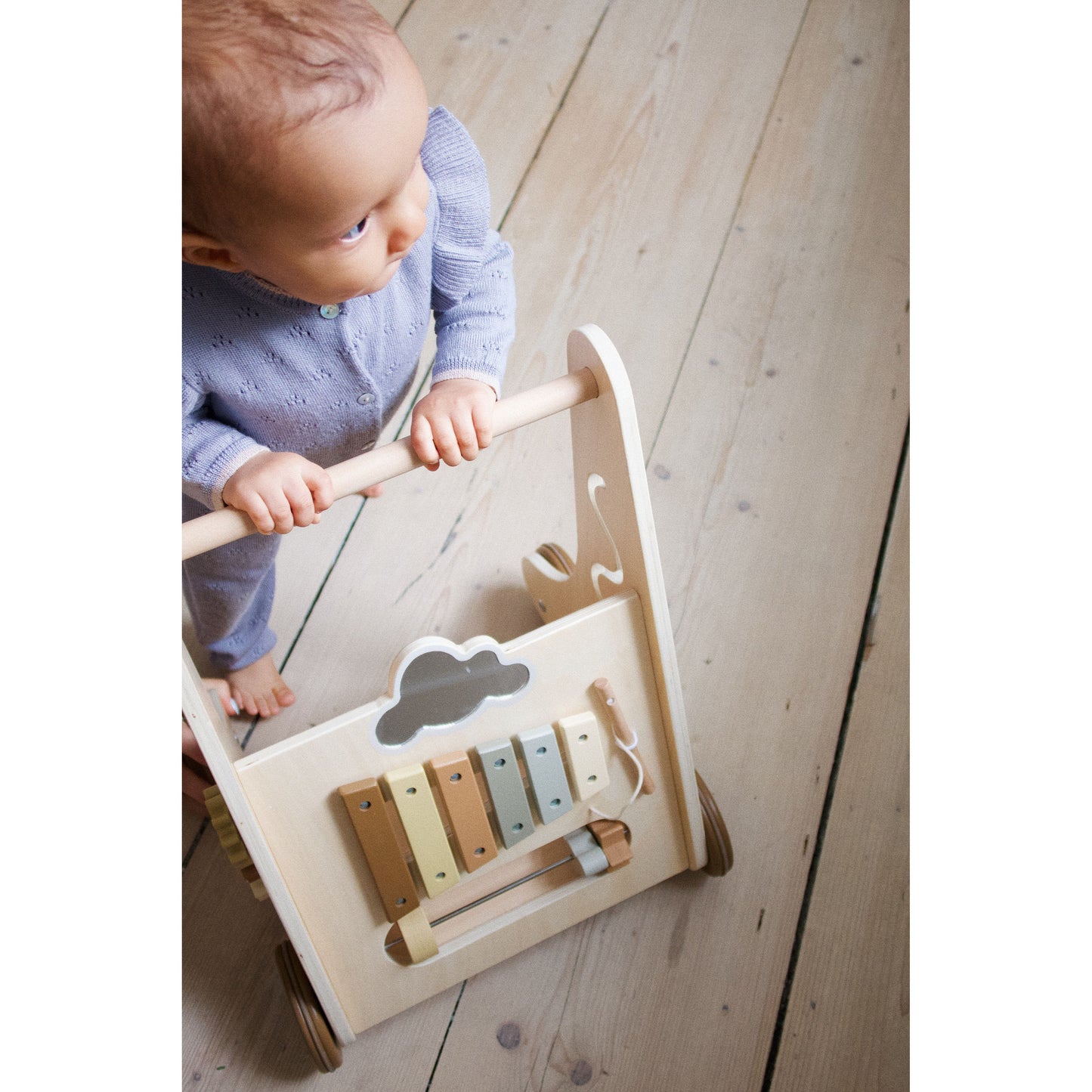 activity walk wagon - nature