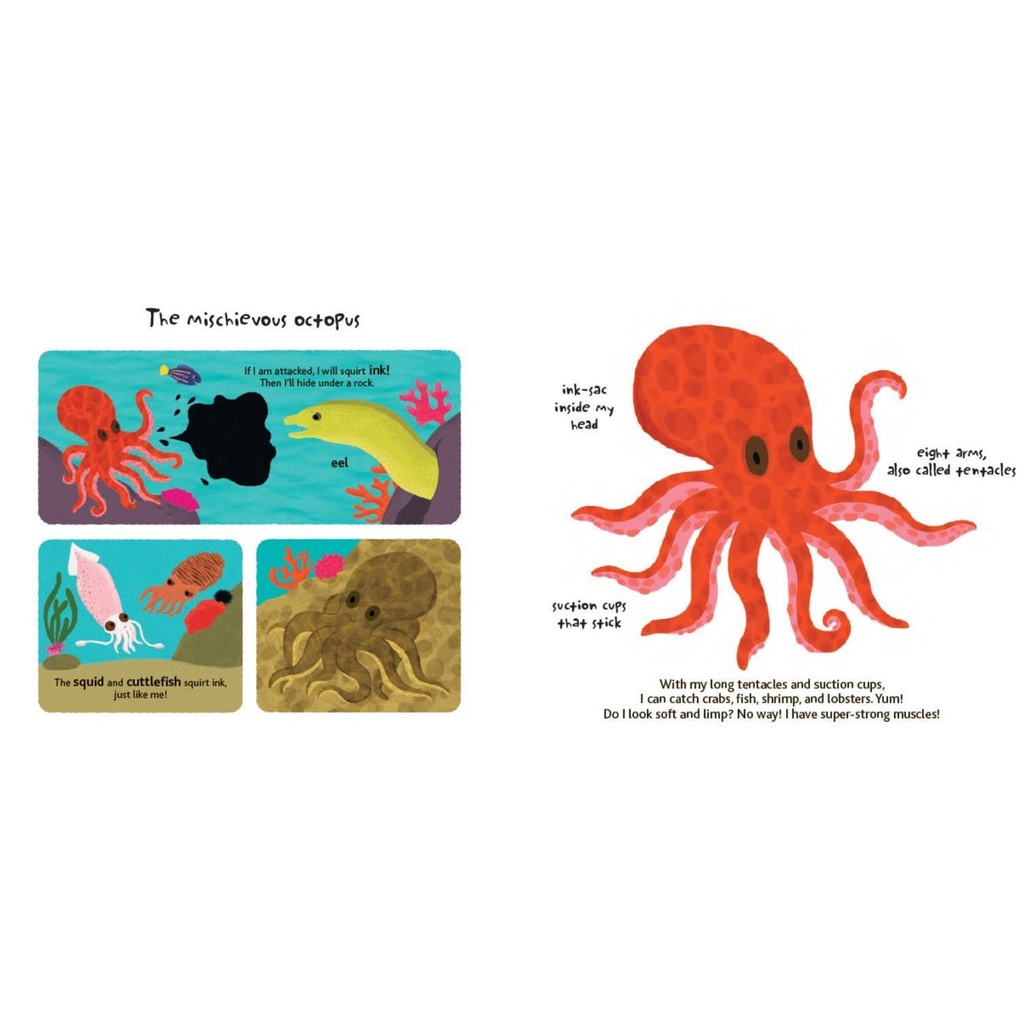 Touch and Explore: The Ocean