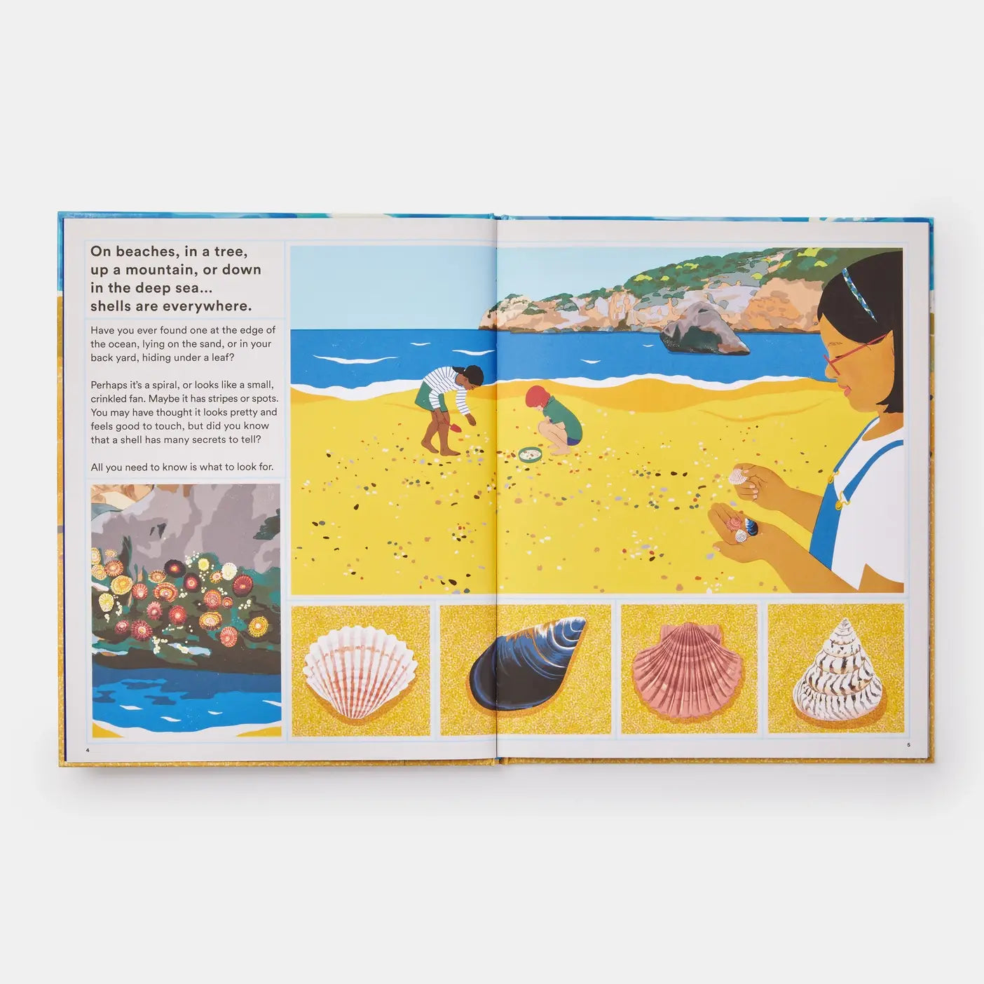 Phaidon - What A Shell Can Tell