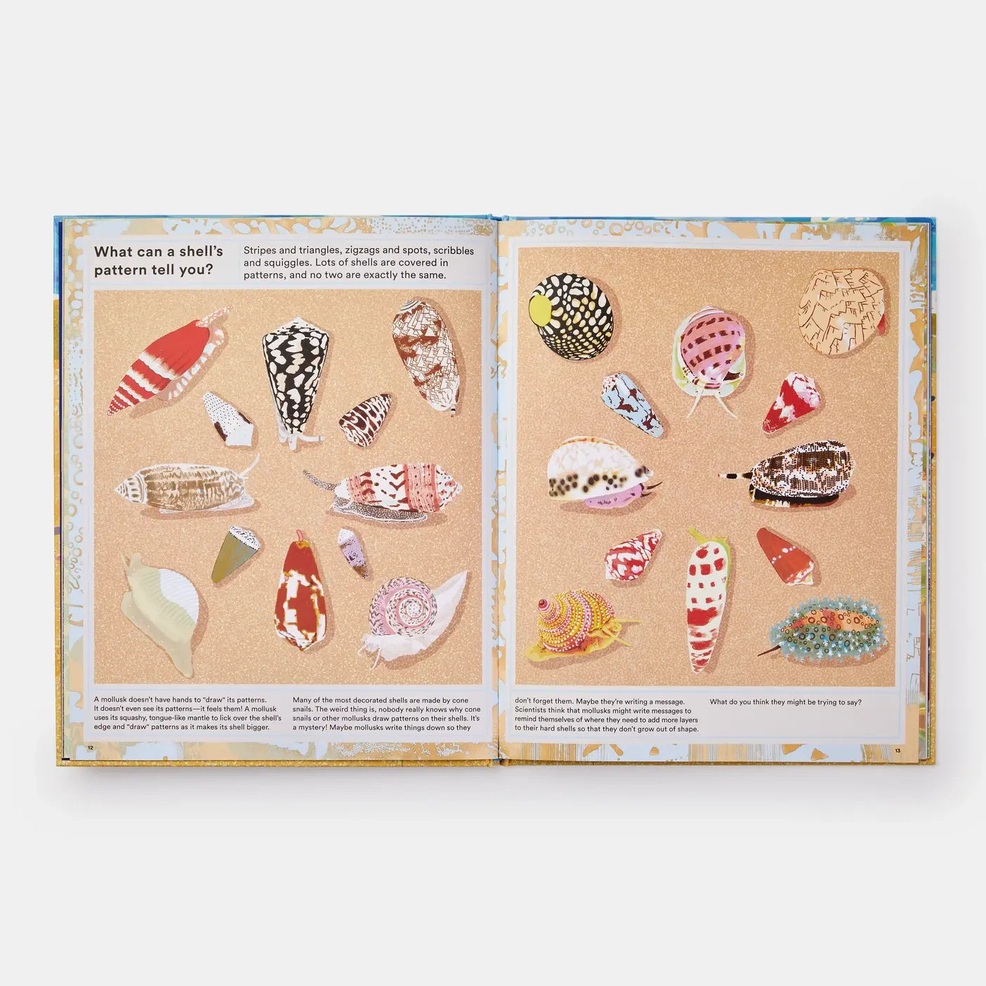 Phaidon - What A Shell Can Tell