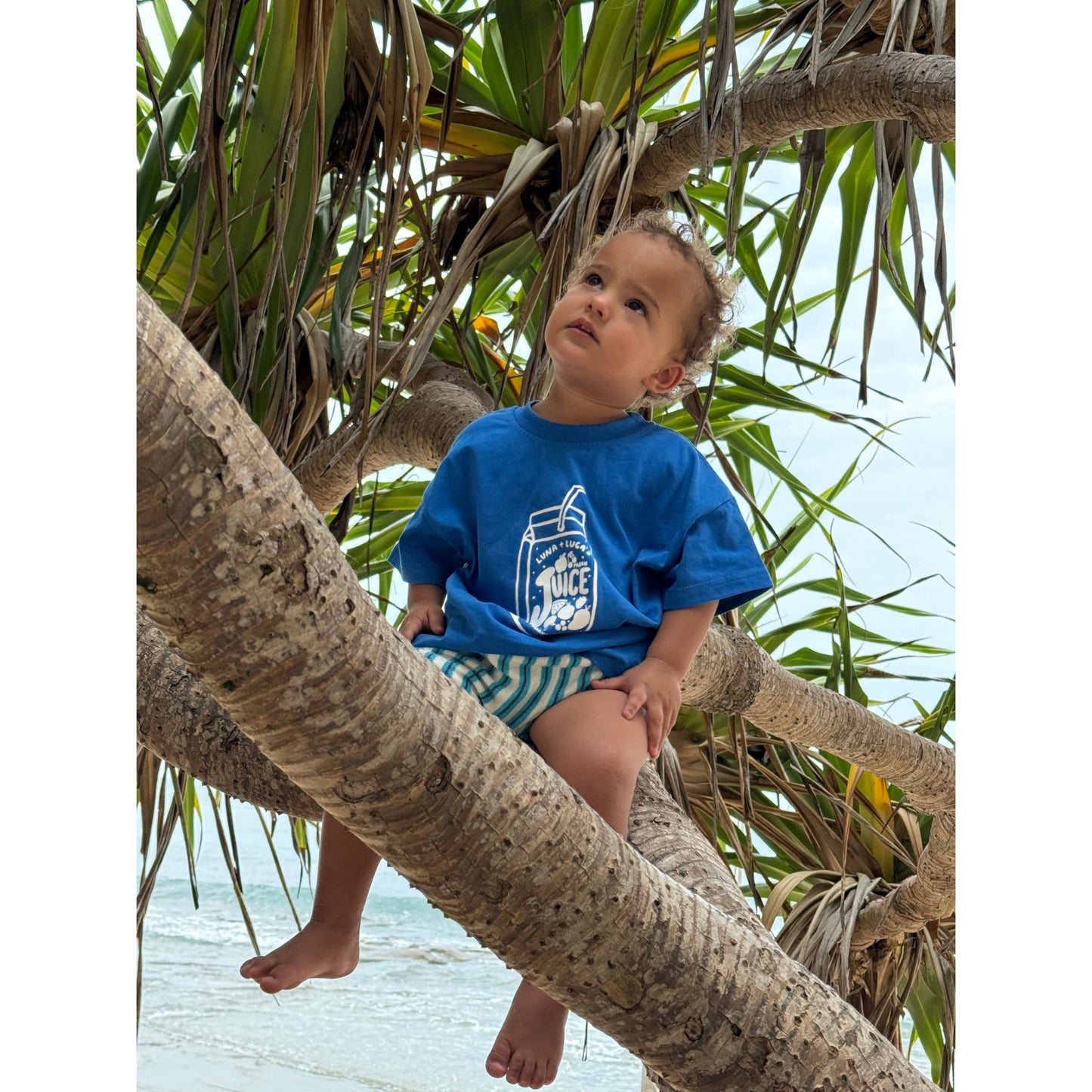 Juice Box Tee: Cobalt Blue