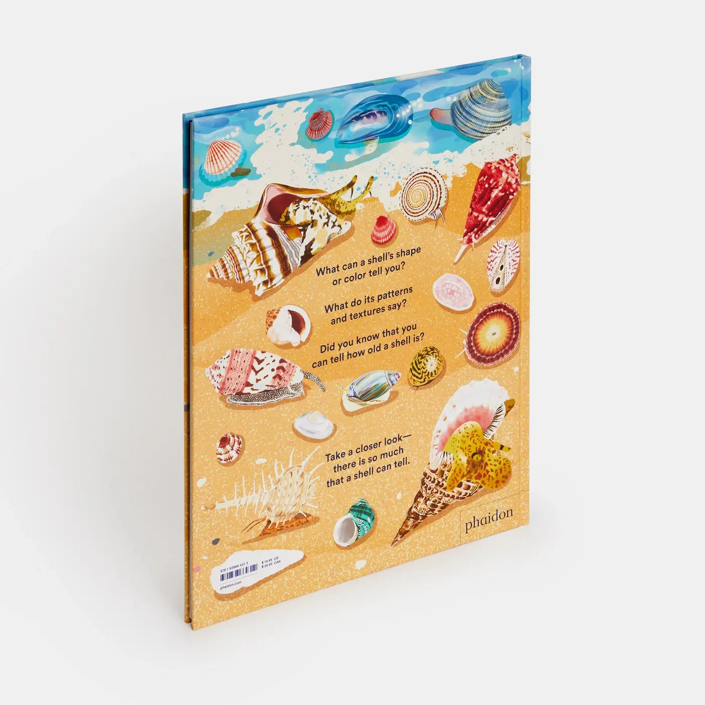 Phaidon - What A Shell Can Tell