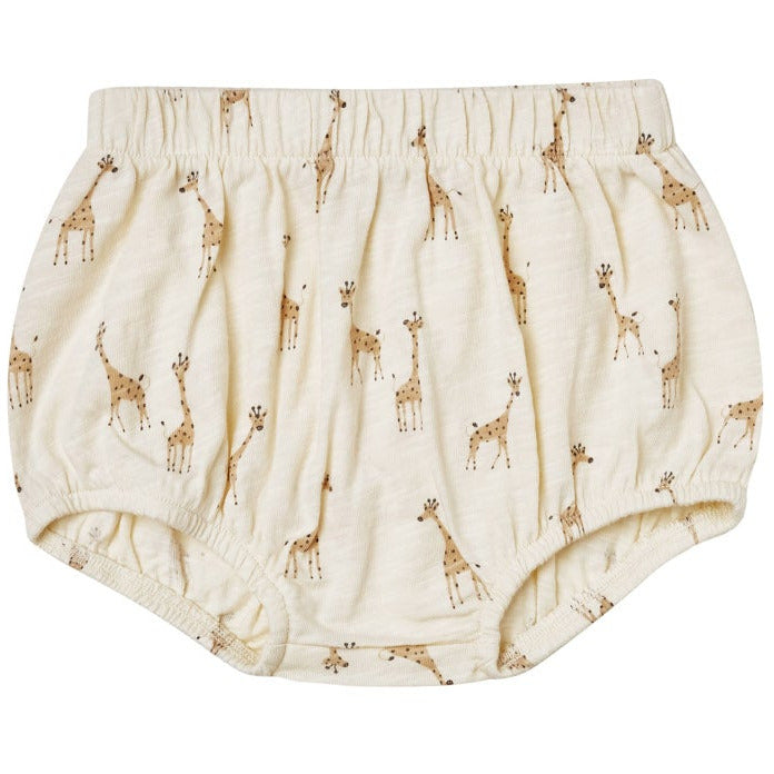 bloomer || giraffes