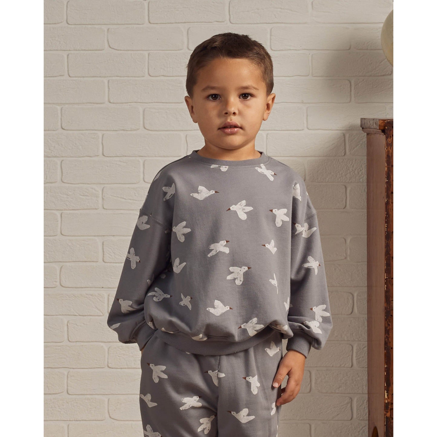 Relaxed Sweatshirt || Birds