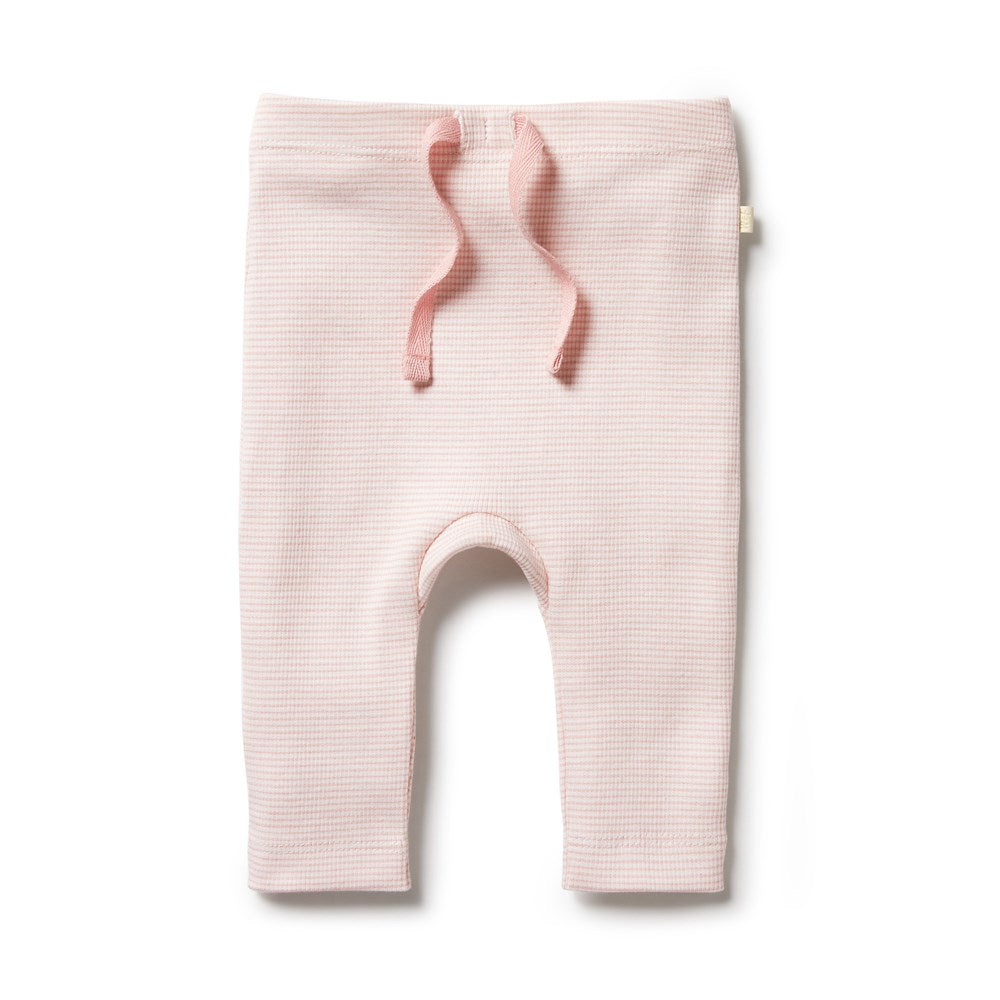 Organic Stripe Rib Legging - Canteloupe