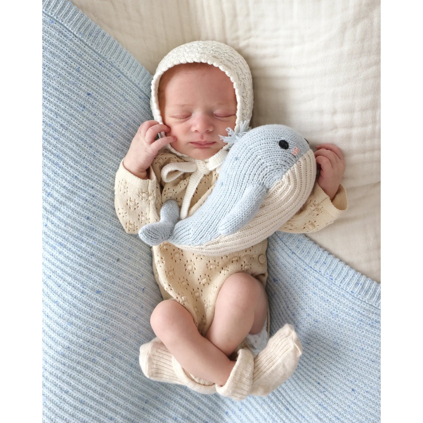 Baby whale