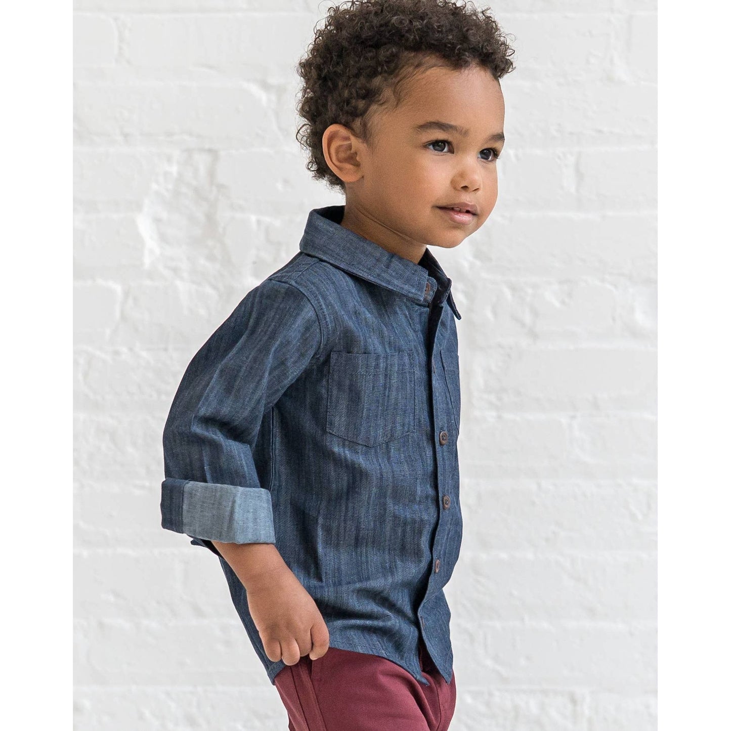 Hayes Collared Shirt: Chambray