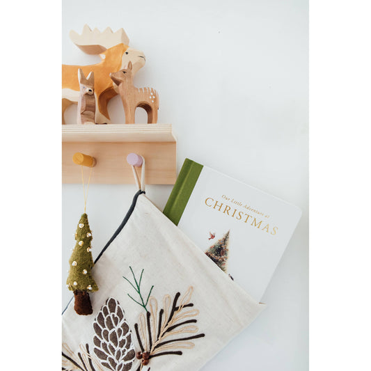 Our Little Adventure at Christmas (Baby's first Christmas)