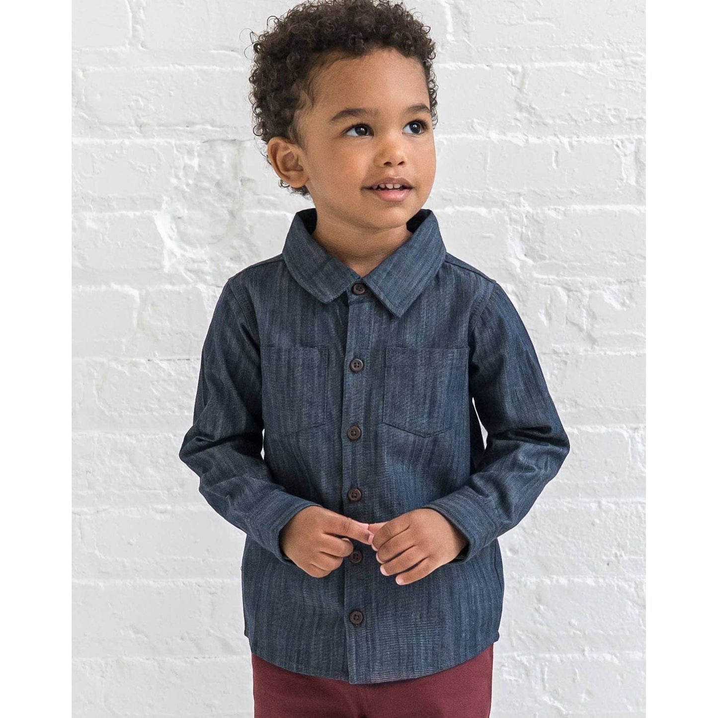 Hayes Collared Shirt: Chambray