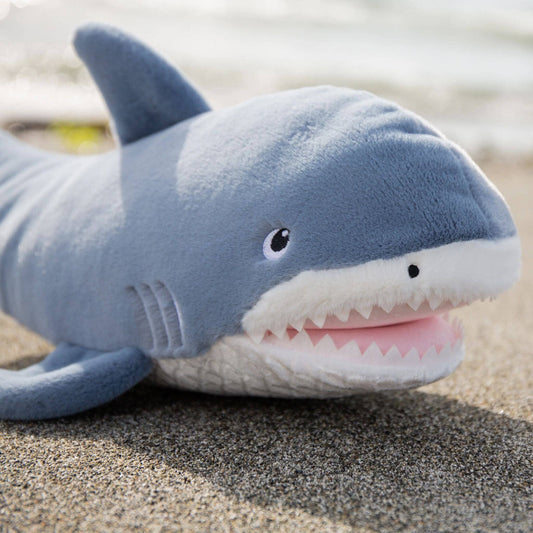Axel the Shark