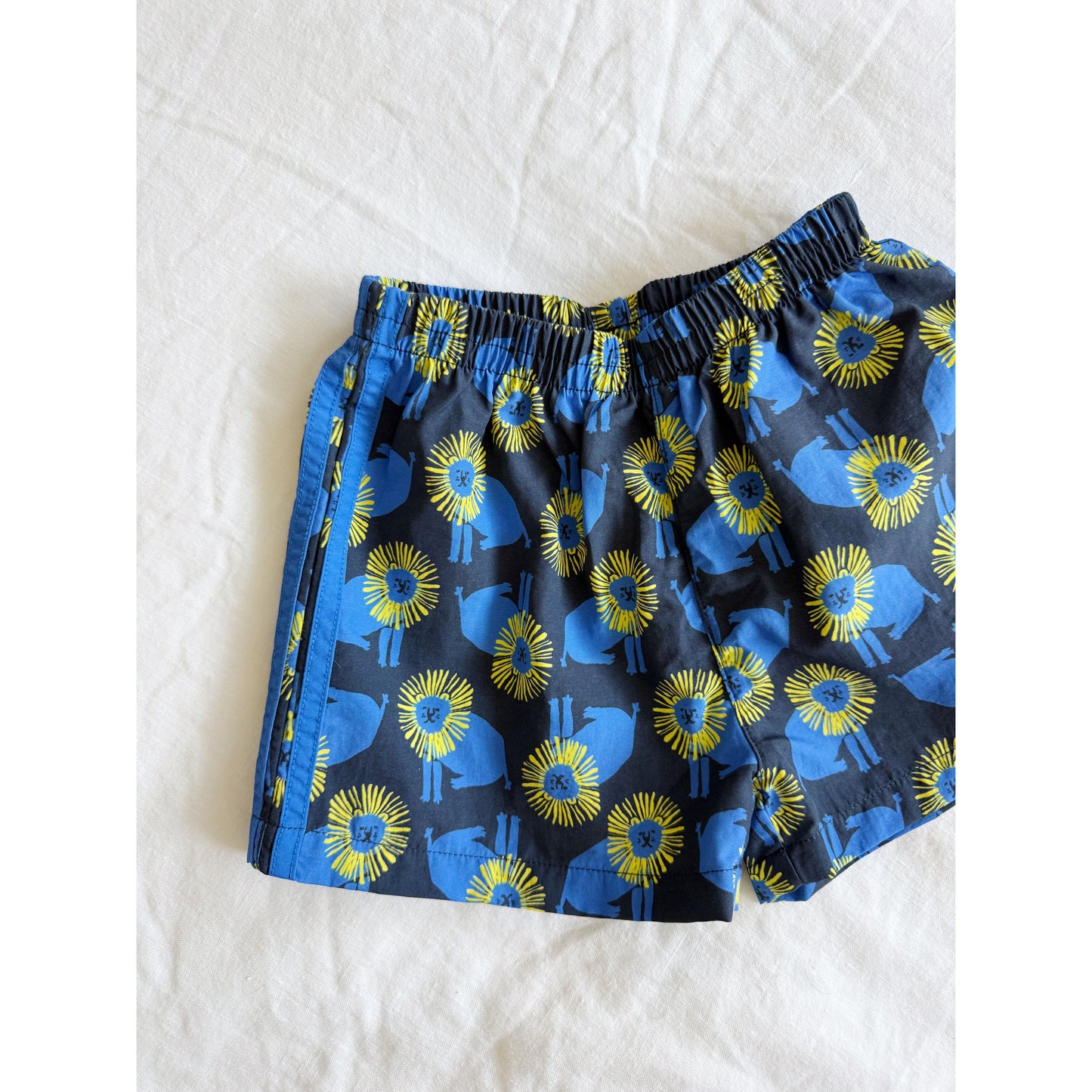 Trail Short - Lion | Midnight