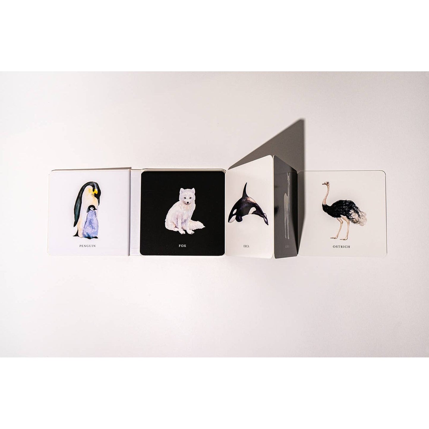 Black and White Contrast Book for Baby