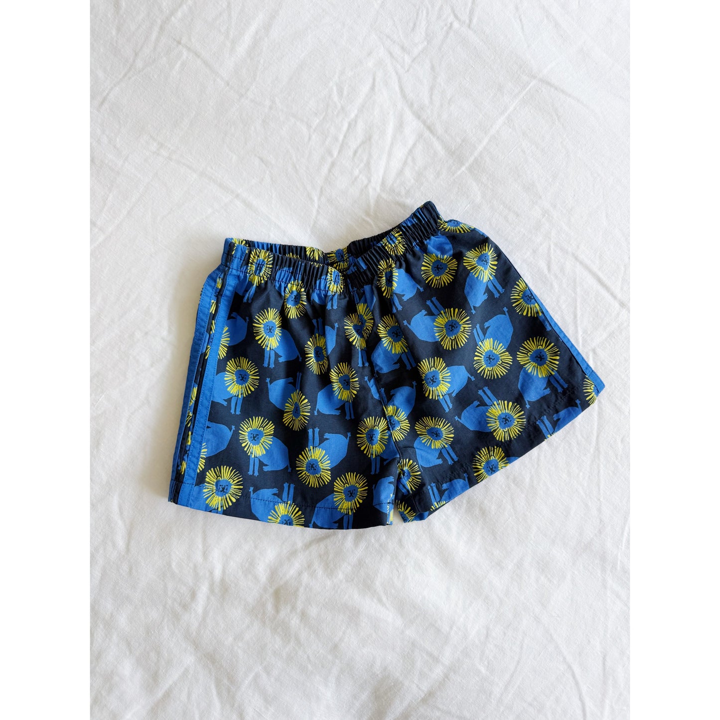 Trail Short - Lion | Midnight