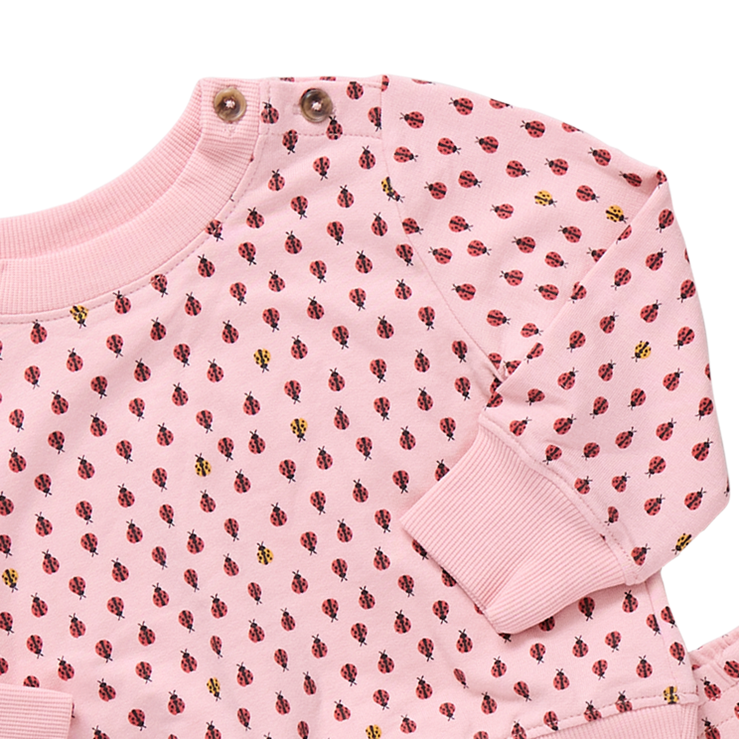 Baby Jax Jogger Set - Mini Ladybugs