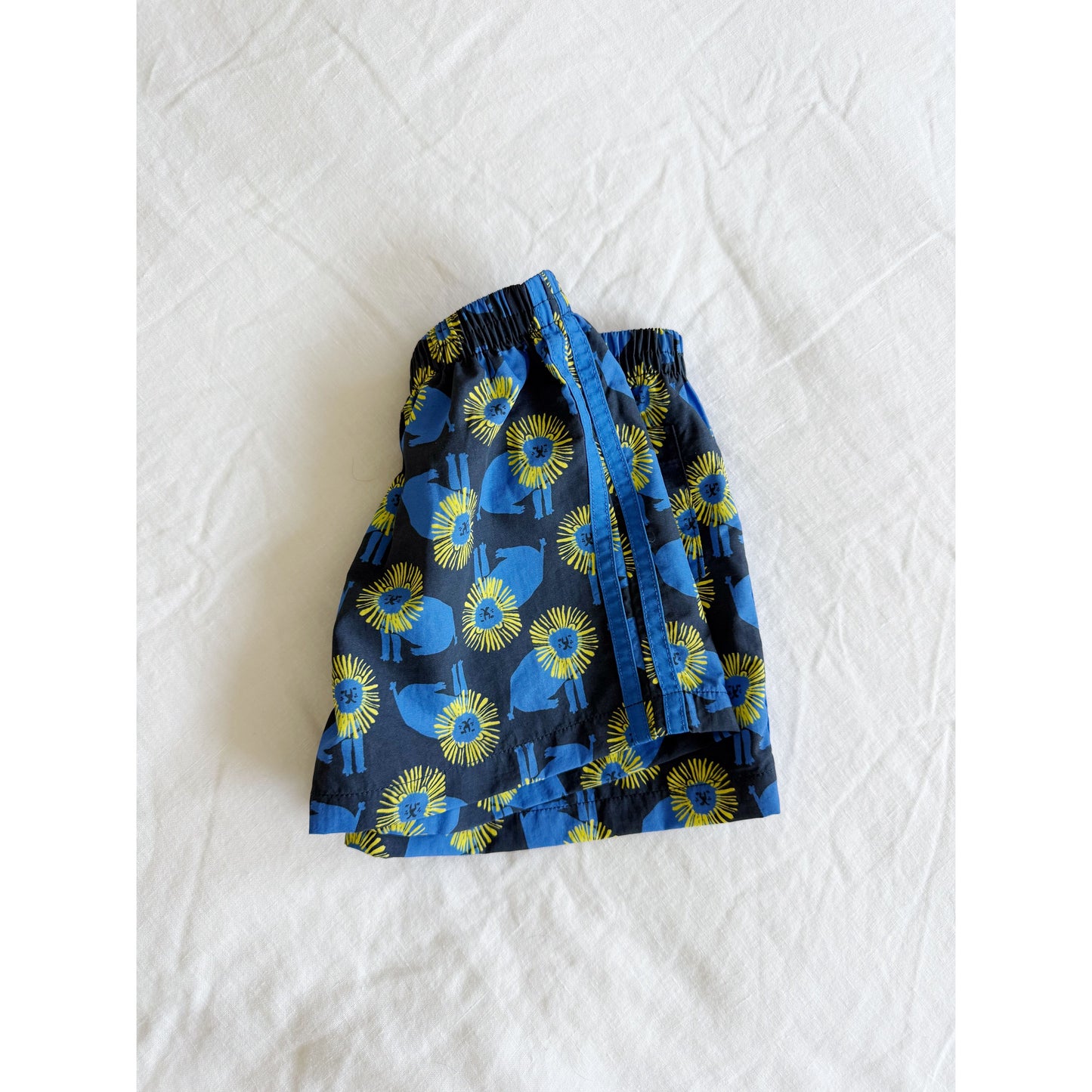 Trail Short - Lion | Midnight