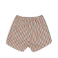 marlon shorts - antique stripe