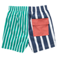 Boys Swim Trunk - Multi Stripe