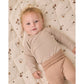 Side Snap Bodysuit + Pant Set II Almond Stripe