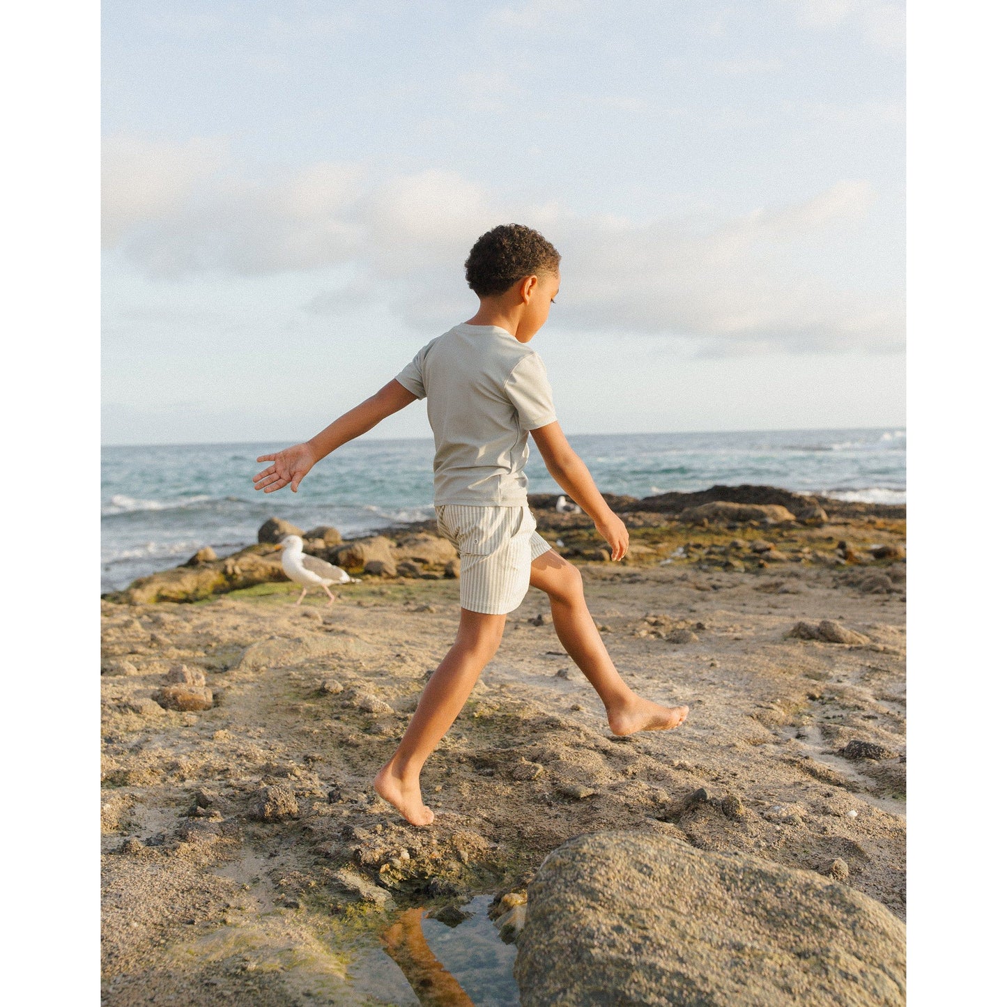 Boardshort || Sage Stripe