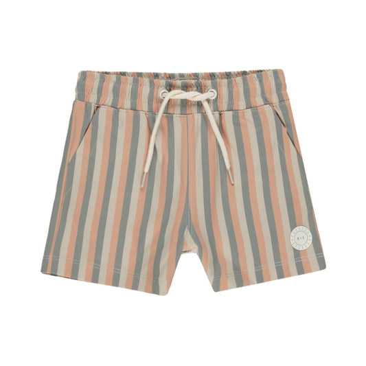 Boardshort || Multi-Stripe