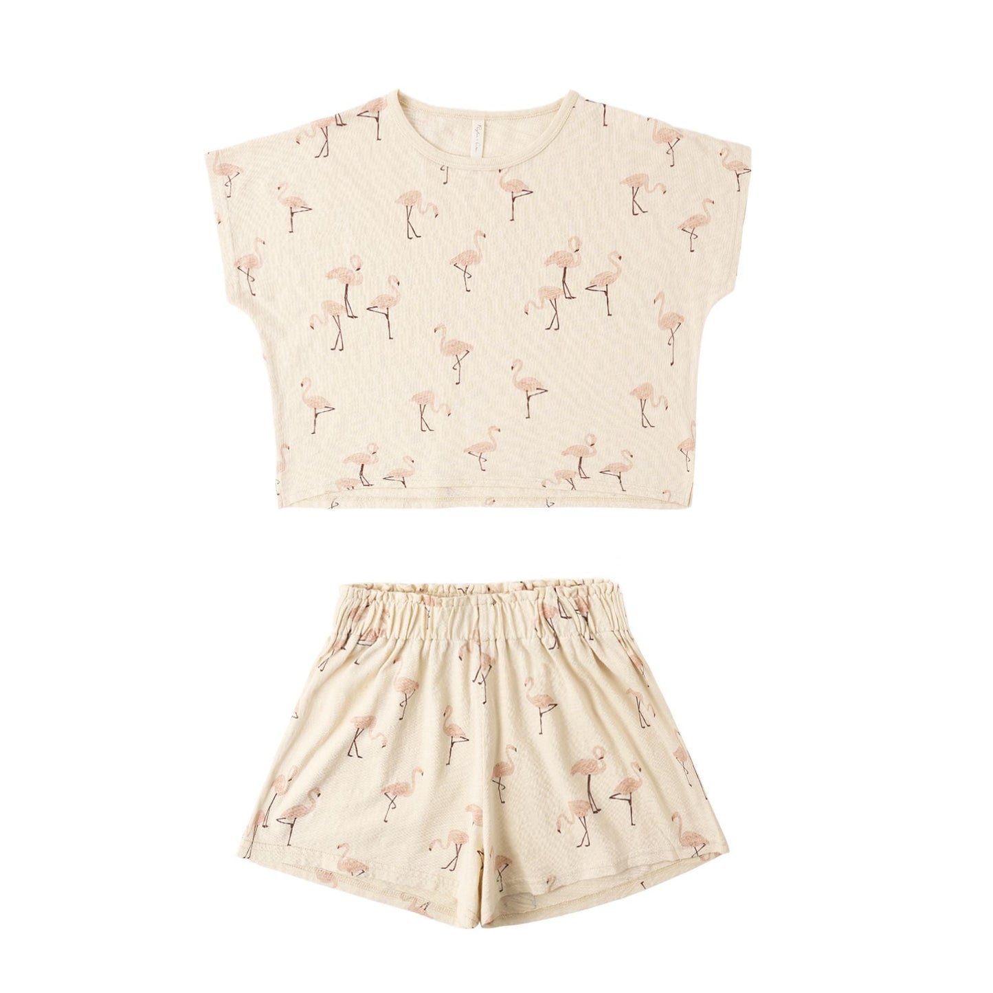 Raegan Set || Flamingo