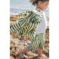 Stripe and Stroll Setzers