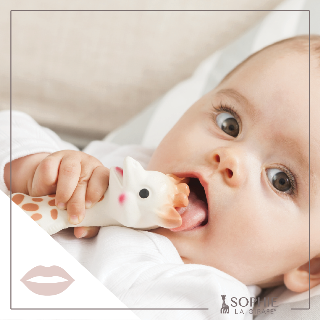 Sophie La Girafe White Box- Classic