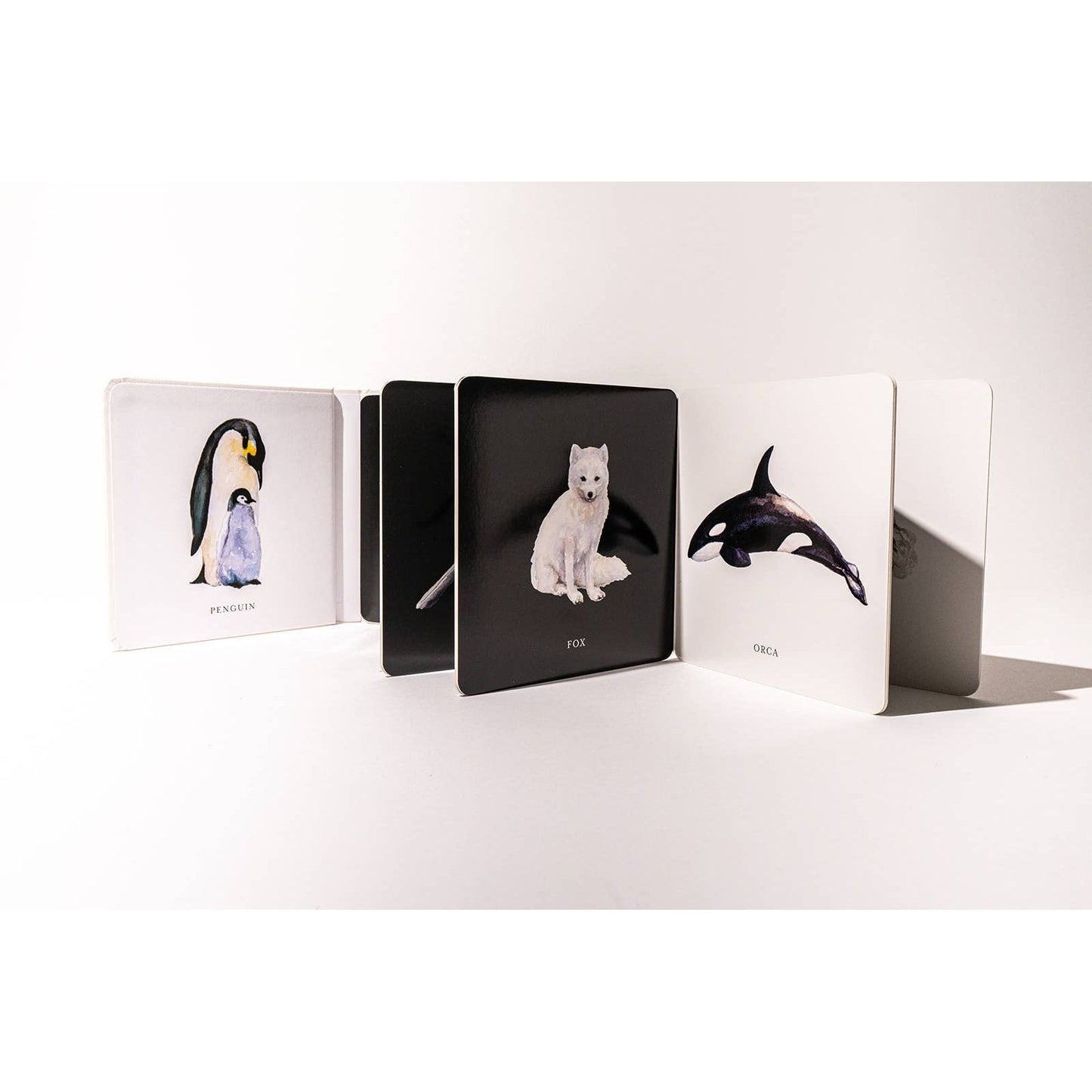 Black and White Contrast Book for Baby