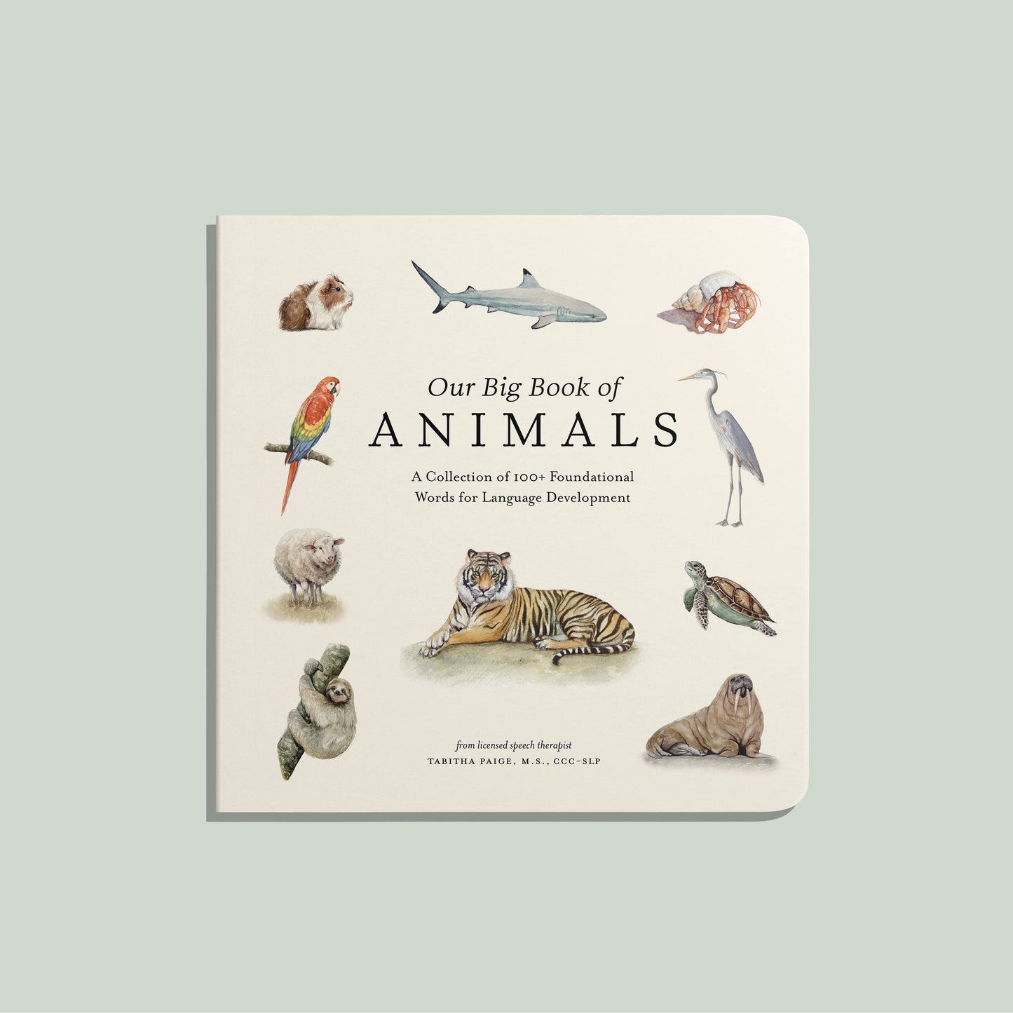 Paige Tate & Co. - Our Big Book of Animals (Baby Board Book)